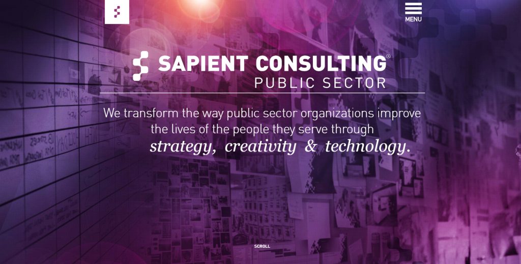 SAPIENT-CONSULTING